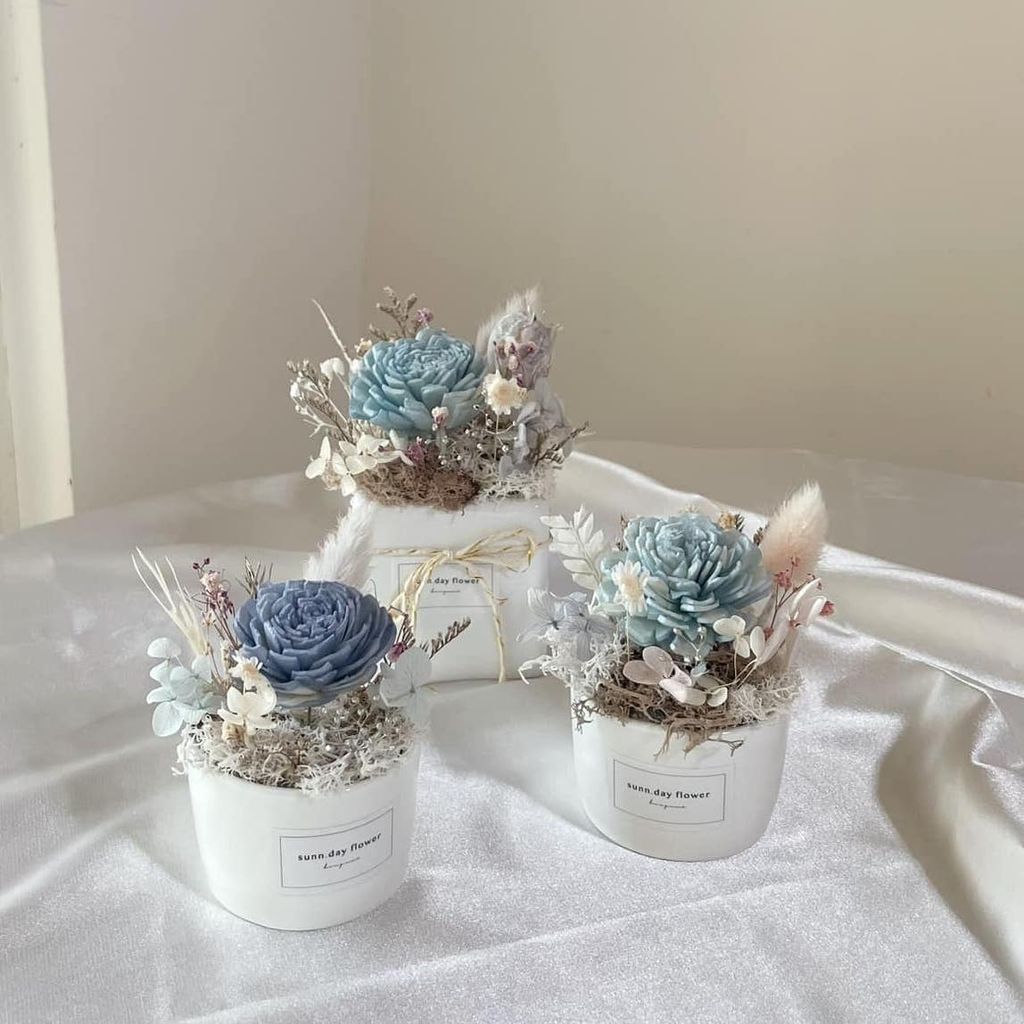 412933530_7013230032101046_4204700219212558437_n