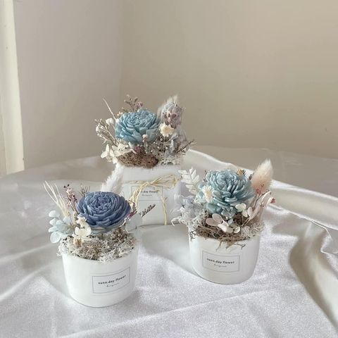 412933530_7013230032101046_4204700219212558437_n