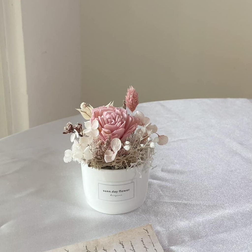 412990184_7013229888767727_9144924118409558093_n