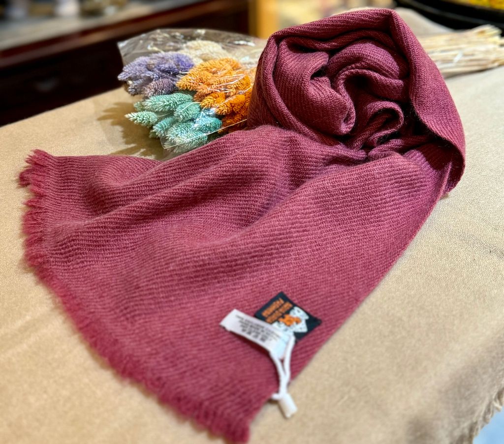 IMG_7905-1724309259845