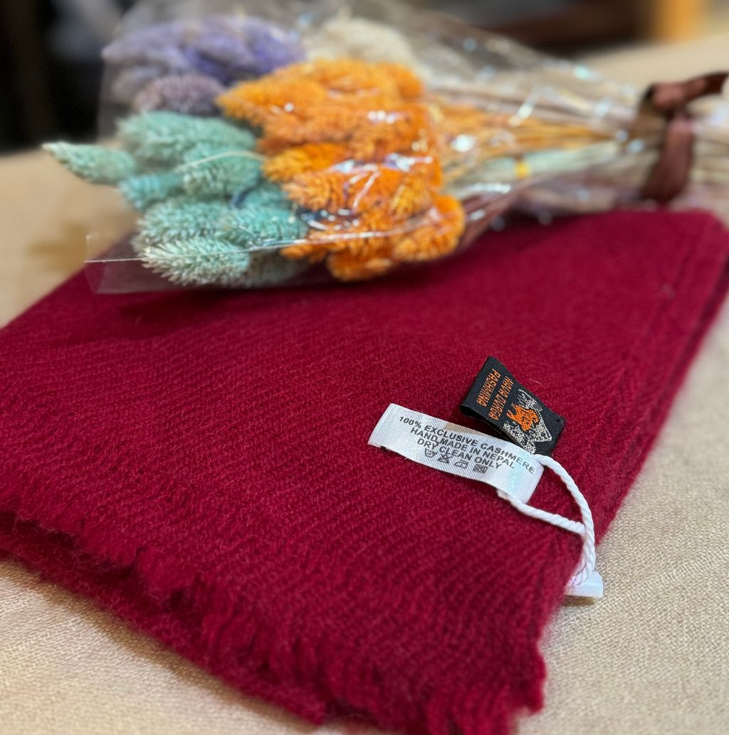 IMG_7912-1724310293211