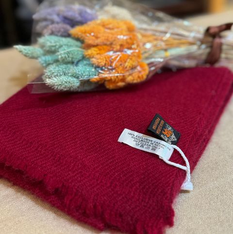 IMG_7912-1724310293211