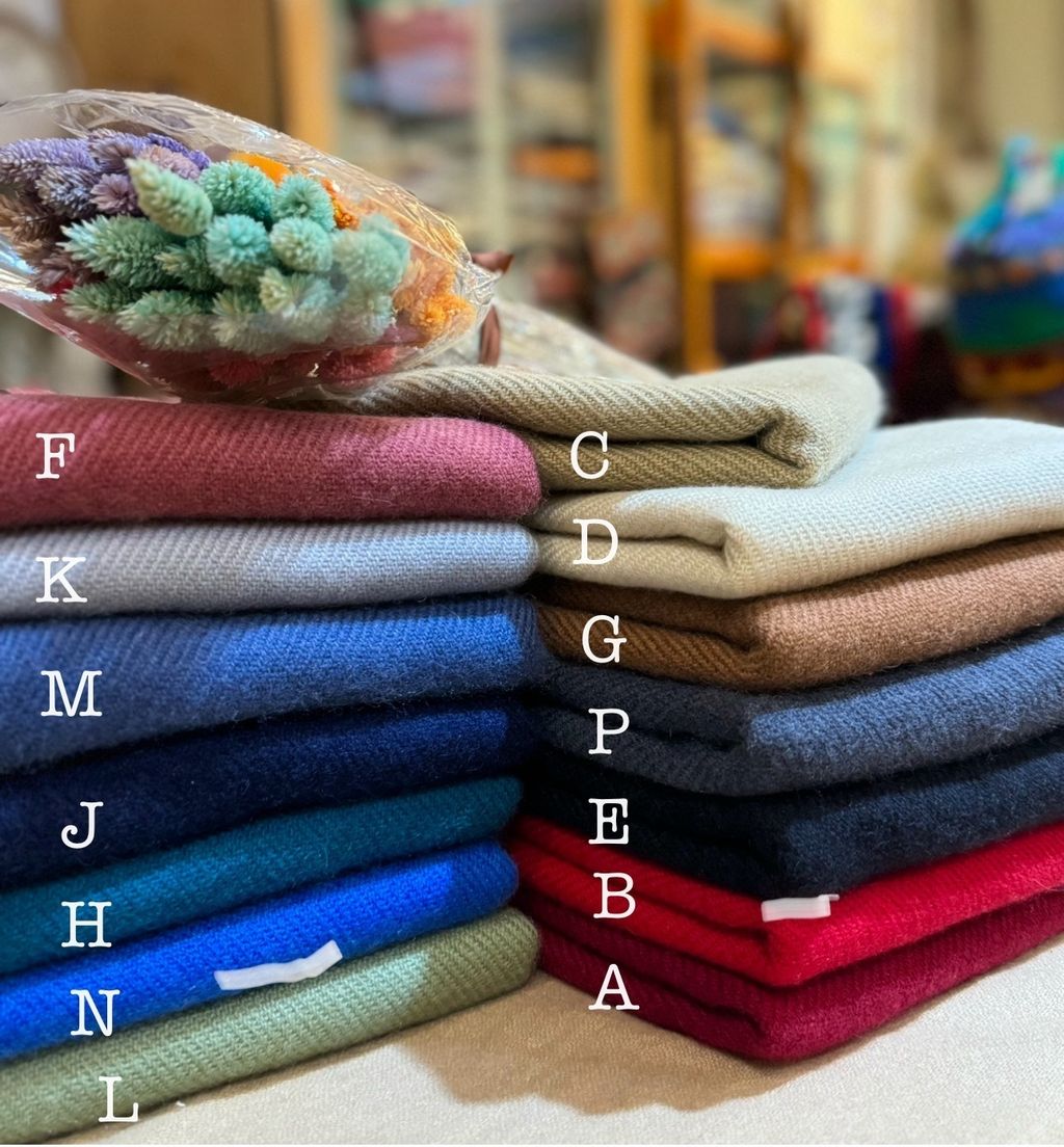 IMG_7900-1724309258159