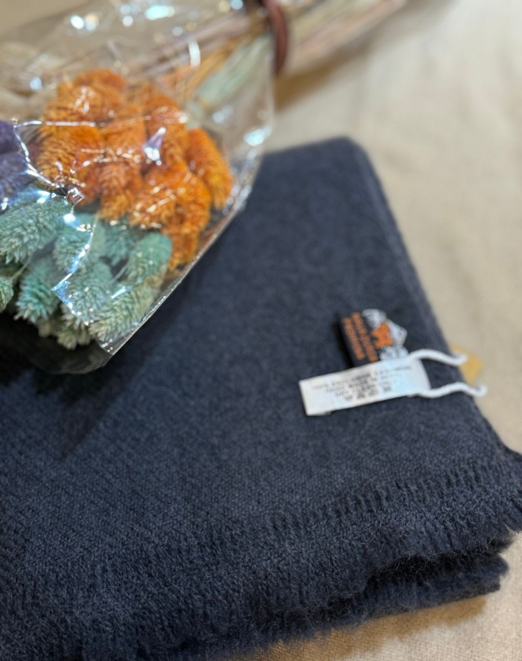 IMG_7980-1724313125714