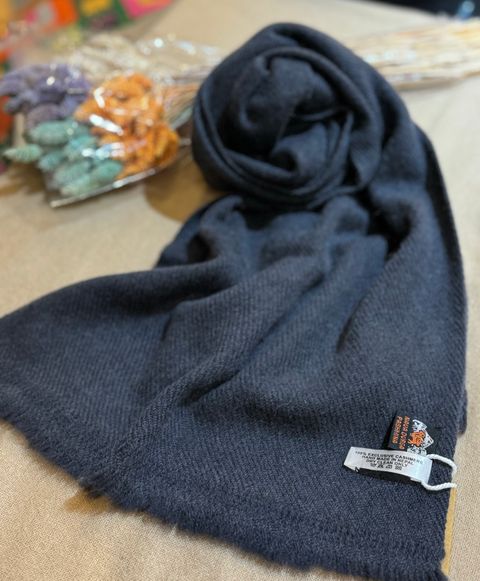 IMG_7982-1724313125886