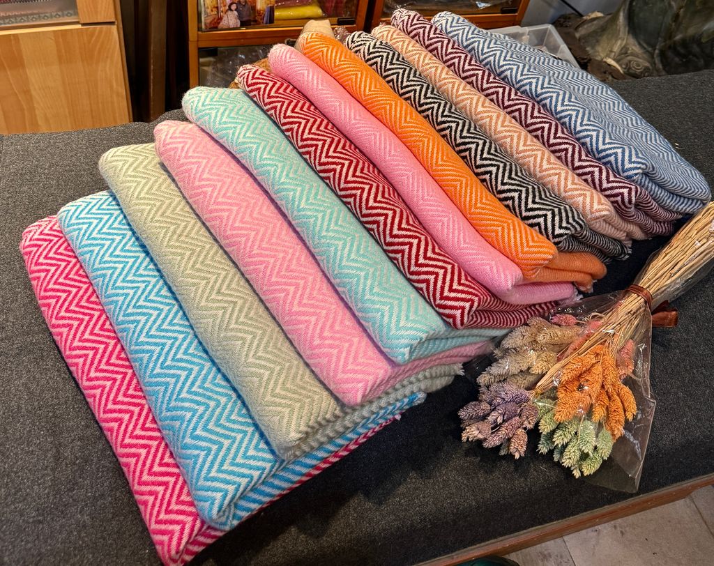 image_730E29DF-CBAD-4219-B7E2-C358E359FF04_1774174753