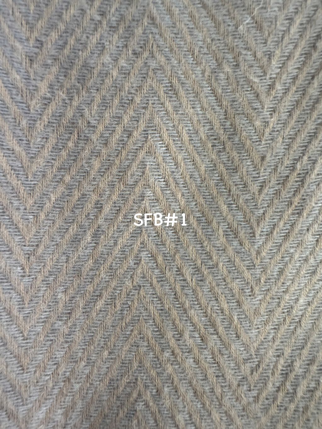 image_AC1EEA6C-F420-4E78-A0DD-39CDA0E5E0F6_1774342223