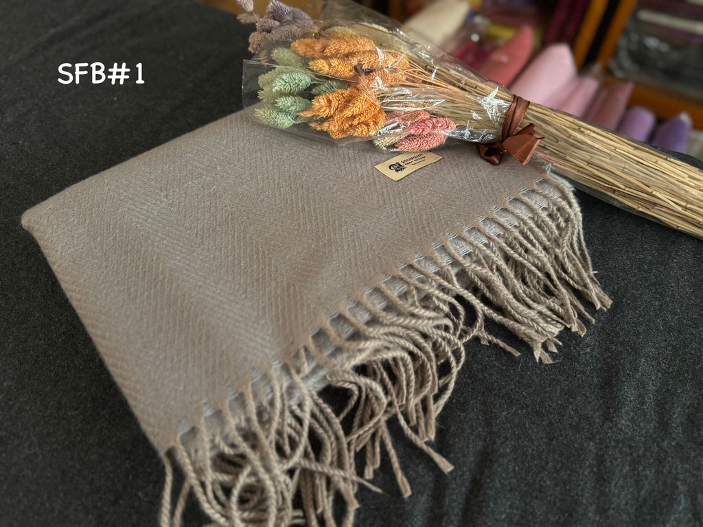 image_7A3965D3-A469-45D1-879E-5C1281E933E6_1774342223