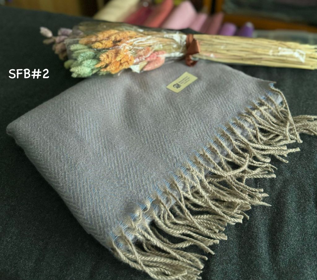 image_B40A5A97-306F-4076-AAF1-A334C9133E18_1774342223