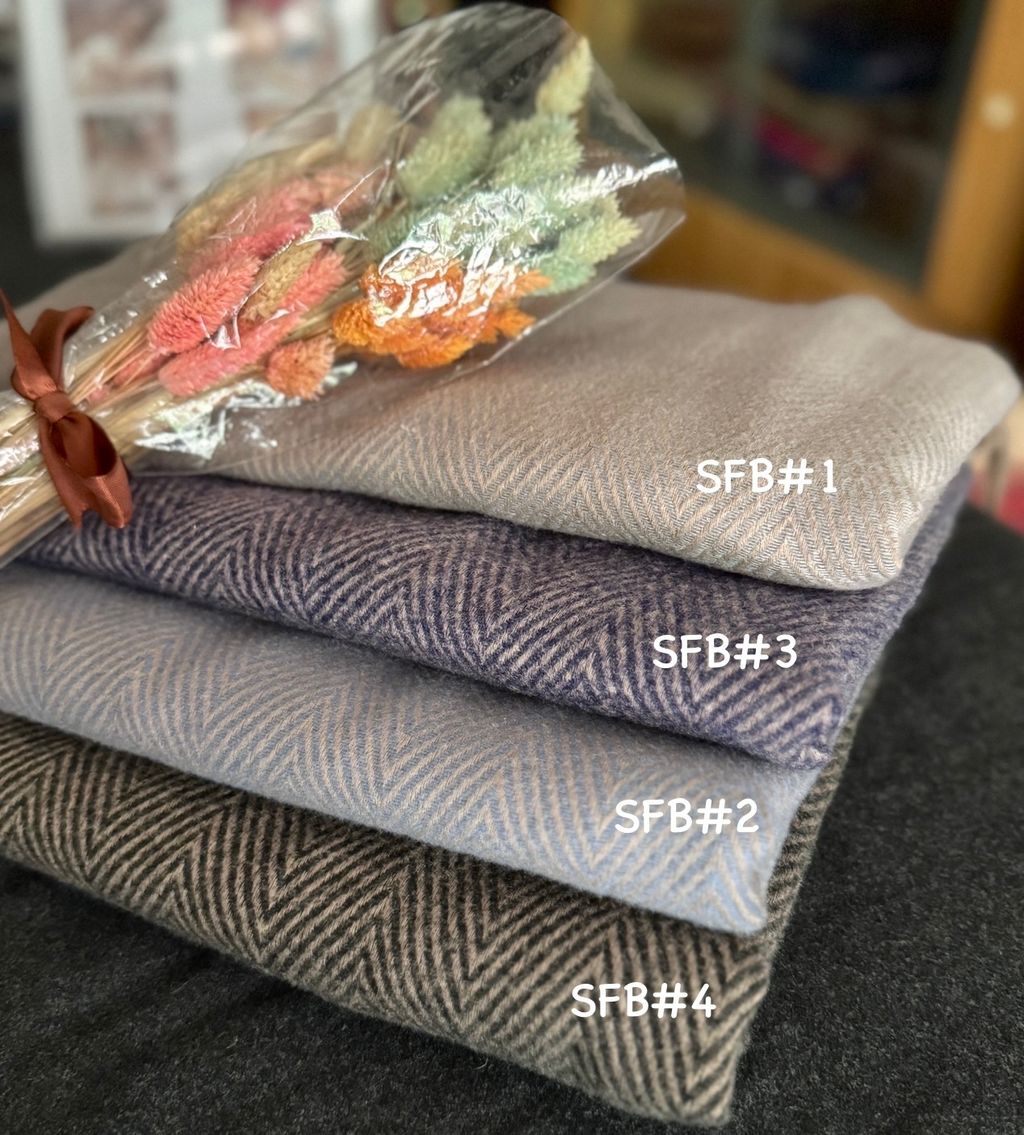 image_DFE97C9A-D53F-4095-BA54-3641A05C63F8_1774342224