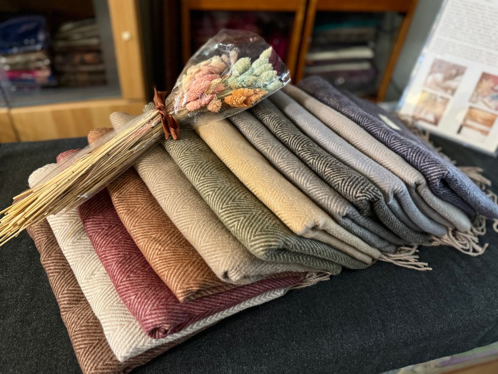 image_904844E9-0024-4C41-8EB1-D3FA14059C88_1774342270