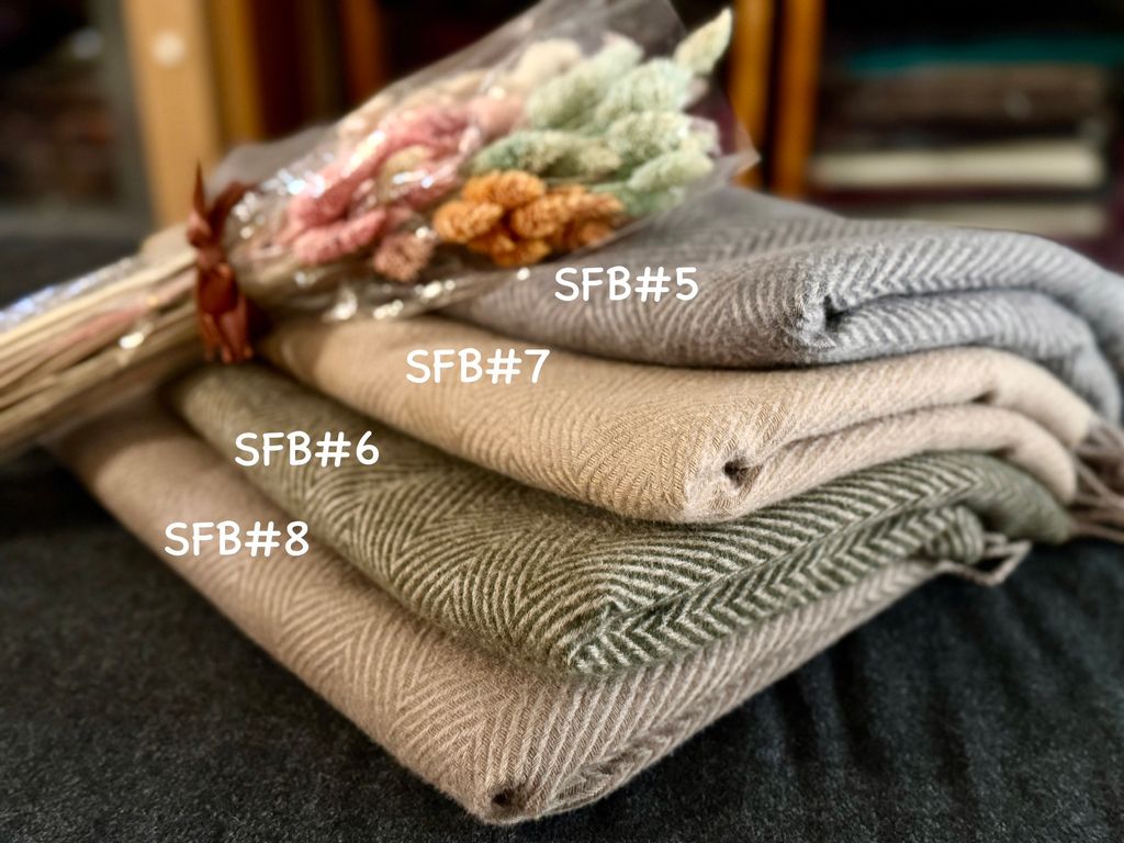 image_8861C374-7A38-4BEA-93E0-20C84791AB2E_1774343449