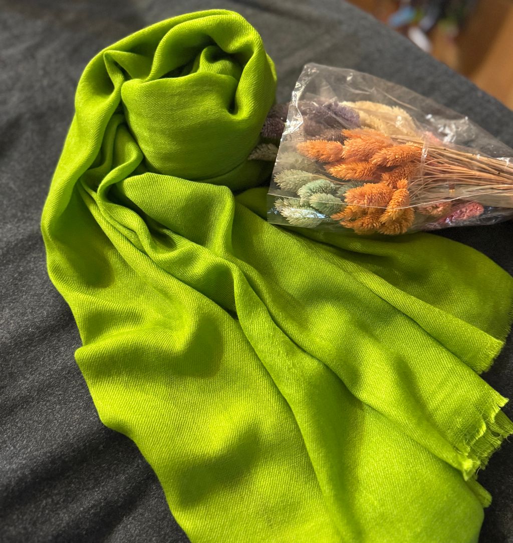 image_967FE47D-3841-4986-AB60-EA942A7182F8_1774438801