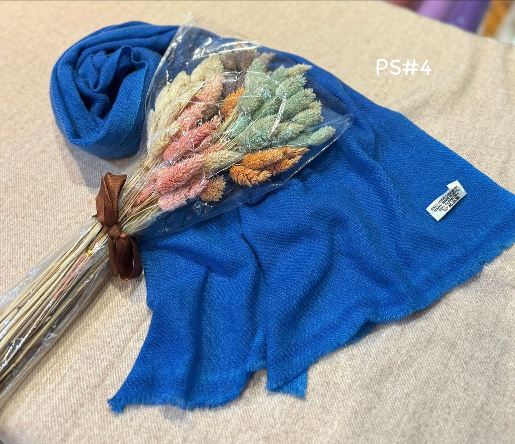 image_15693299-0E6F-44B0-B0B8-FD7D2D3AA57F_1774868467