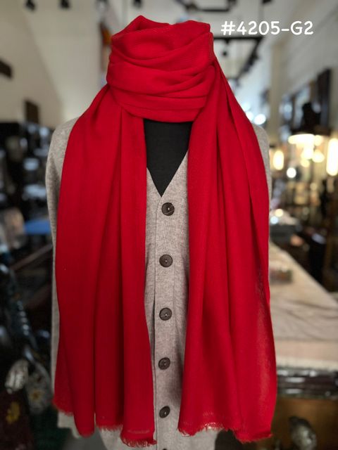 image_3083992E-C0E3-4AAF-A887-3B18DD676141_1774870097