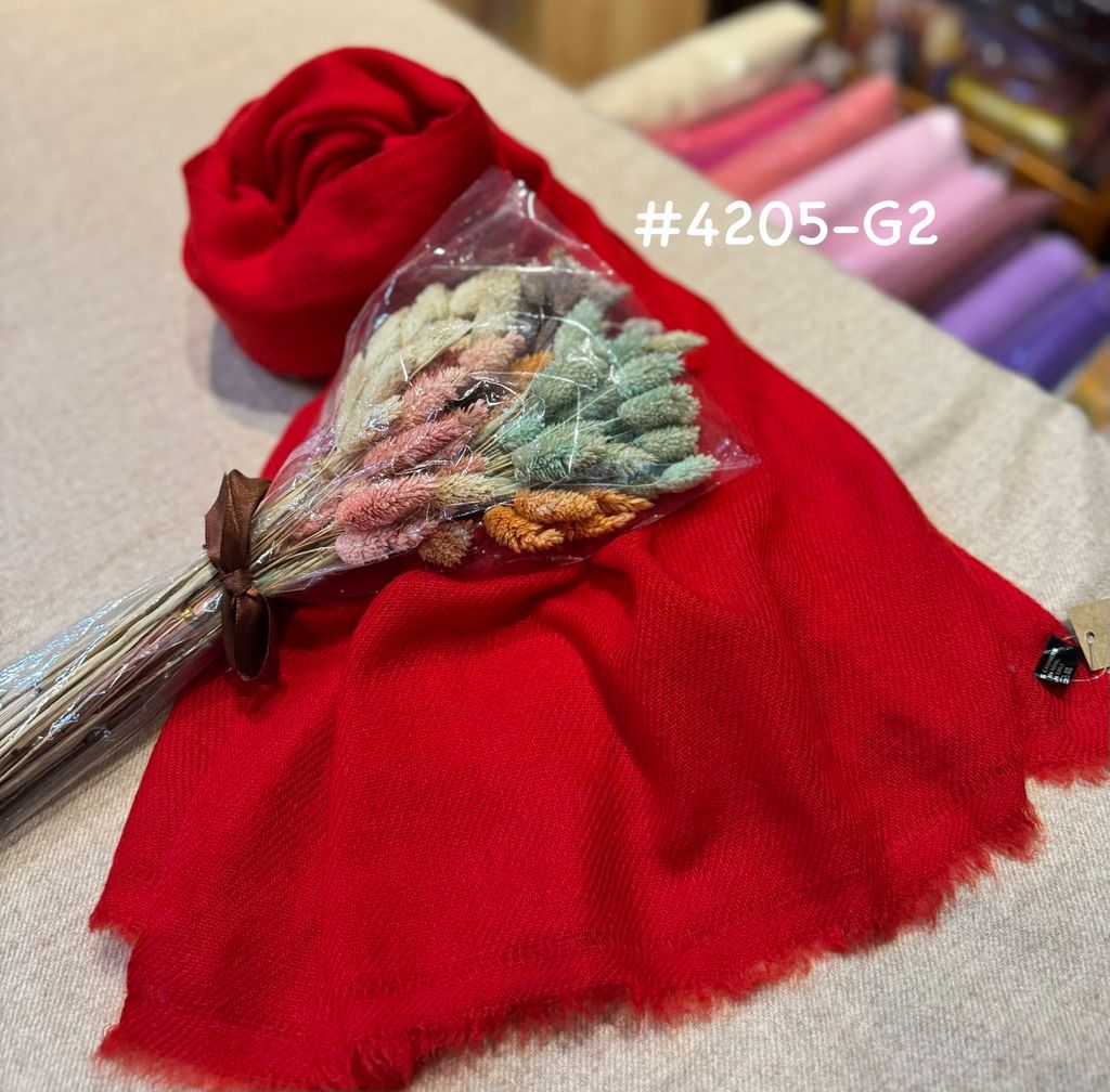 image_3434120A-D41E-4B71-BB00-59EABF8B3E0F_1774870098