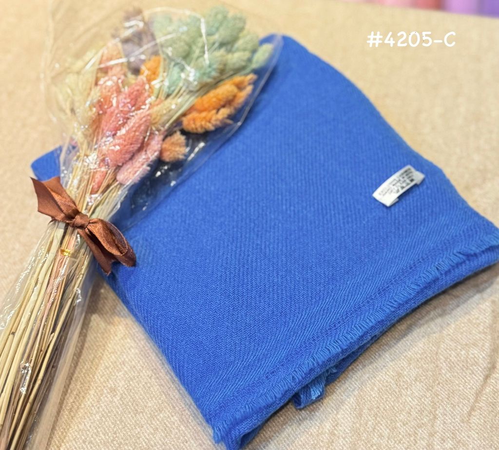 image_73D74990-11F5-4D7B-AA38-B88EAA6CFF60_1774871740