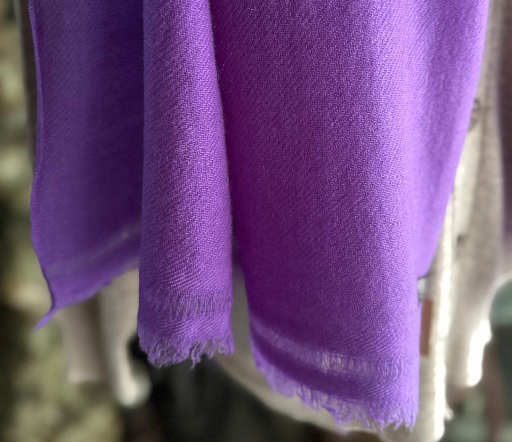 image_02A1EF14-E058-448D-999C-069CA6EAD890_1774949564