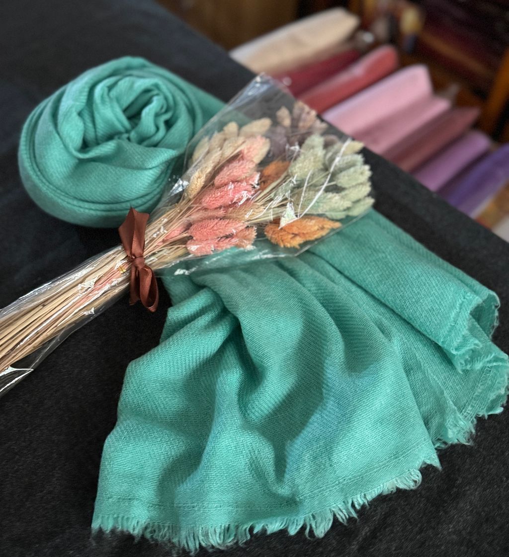 image_A15E5061-2CCB-410A-9C59-BEAE16A23E69_1774950094