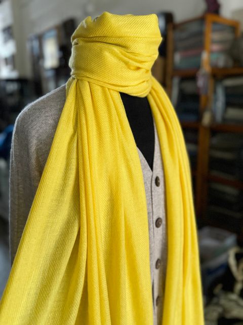 image_99378F1C-F15D-4AFF-8032-FB857DD822DD_1774950294