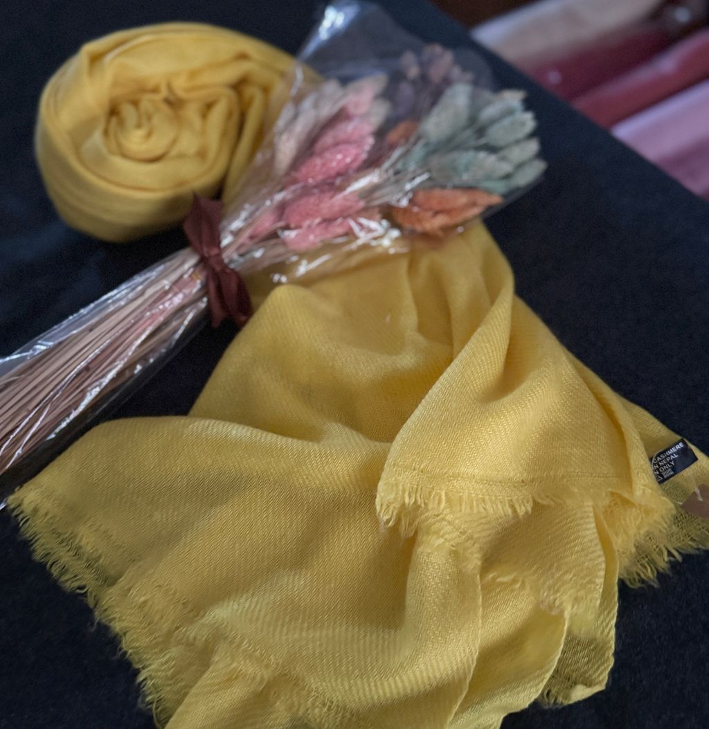 image_97A92289-03A3-4871-97B3-AAF3FC22129D_1774950294