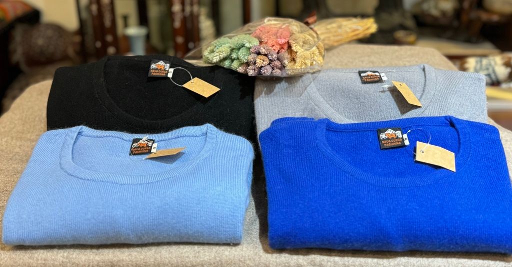 IMG_2386-1730881174024