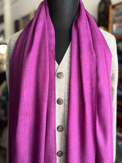 image_251F8F7A-27D0-40D5-A848-34CD2F89F422_1775039834