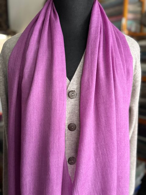 image_4EA7D440-45B1-4374-A35D-08BEA6389427_1775041063