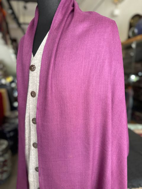 image_C78B99AC-EFA8-4437-A126-E52E0B52D41B_1775041449