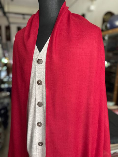 image_F0EBE46B-2565-4EEB-801E-D8C61A5ED2A4_1775042026