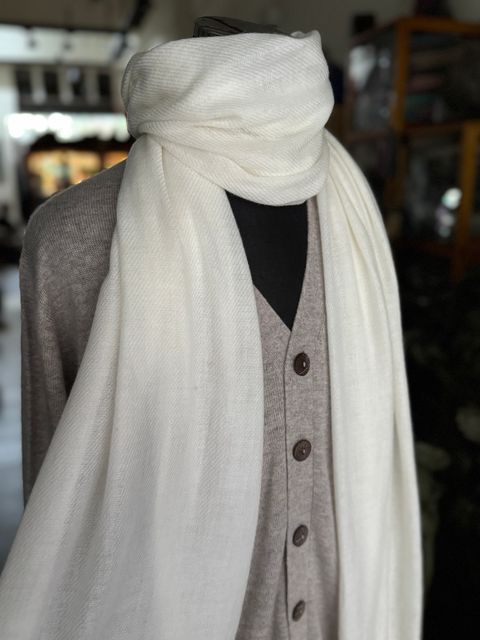 image_E417932C-945D-475B-B7D6-D5EFB4E1ED29_1775117756