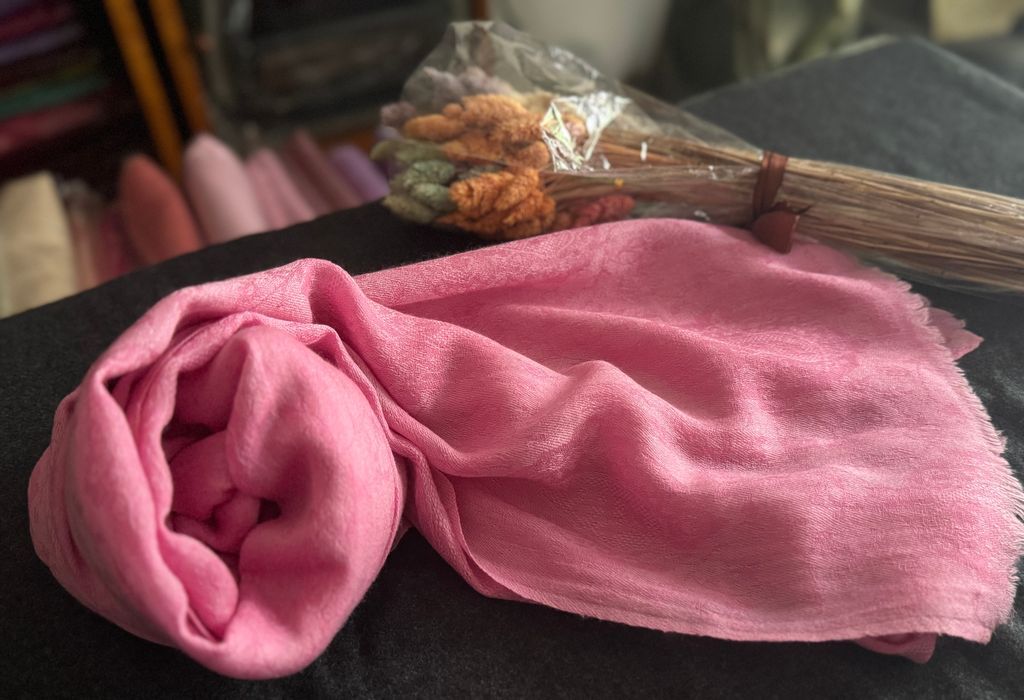 image_A6F47199-4041-4E71-BD8B-06926D3680BB_1775205328