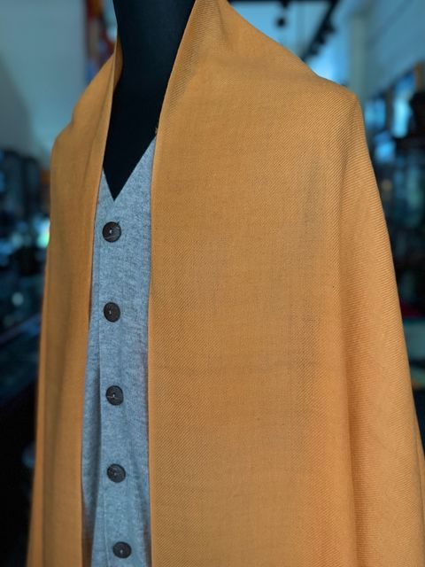 image_4DD9961C-0D67-4CED-B1C4-4AEDA4667B00_1775209158