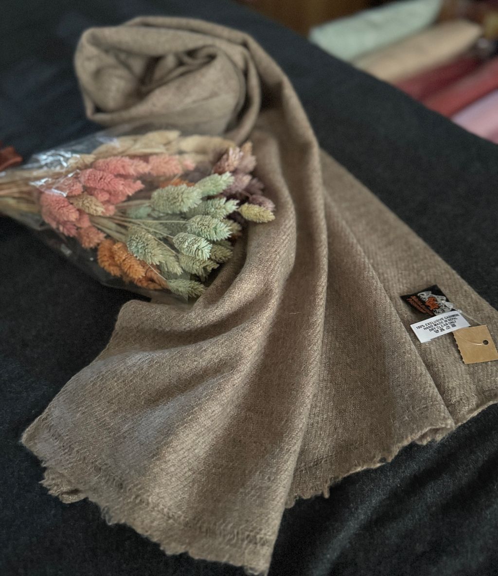 image_EBFB72B6-5676-40D1-BF05-36D482E51F5C_1775211859