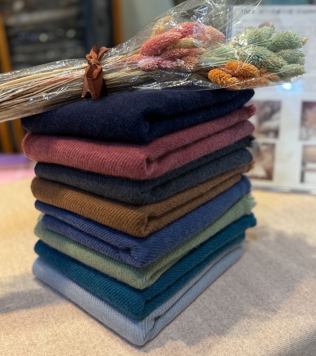 image_DBF63A43-1AC5-4EC0-970A-5F903F7BA881_1775388651