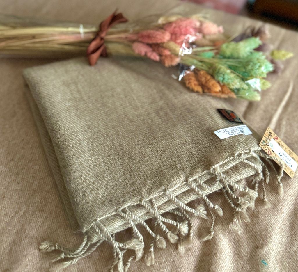 image_18E7A9CF-8B76-4FA5-B1F9-8B4FAF6E351E_1775392130