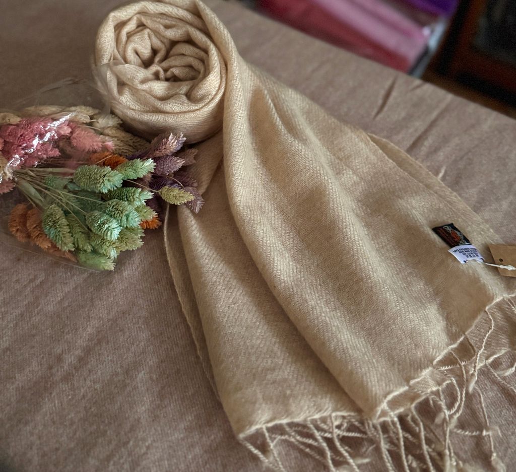 image_BC70E62F-2A45-450D-9869-415EC6499B72_1775393605