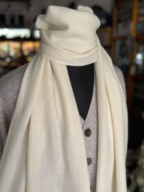 image_55A8D036-E55E-49F9-8C17-7BEA39E6369D_1775393855