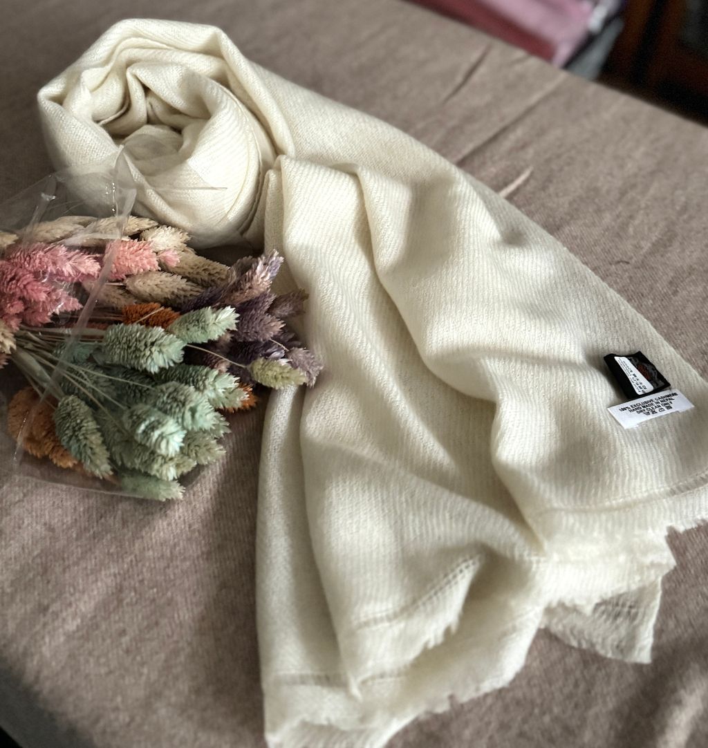 image_470F6977-05E2-4655-B68D-B58CE91A7AD1_1775393855