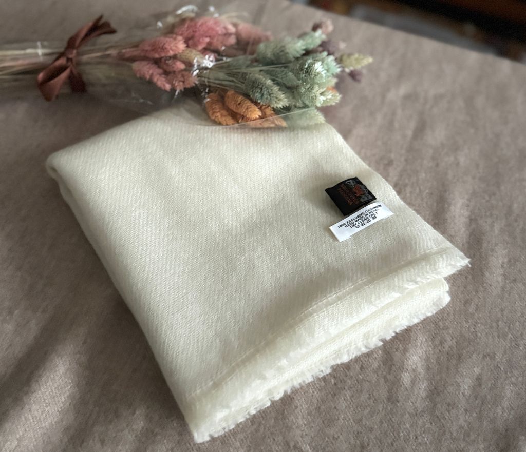 image_1B7D06DB-8854-47CF-9B7A-1B477C6724C9_1775393855