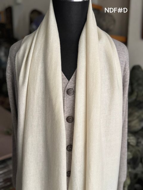 image_3E74DA2B-A7AB-4062-B220-917AB400732B_1775393855