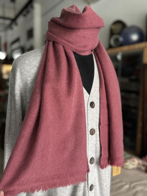 image_5D6C7628-8FE3-483E-9AB9-CD3D6D165E57_1775395989