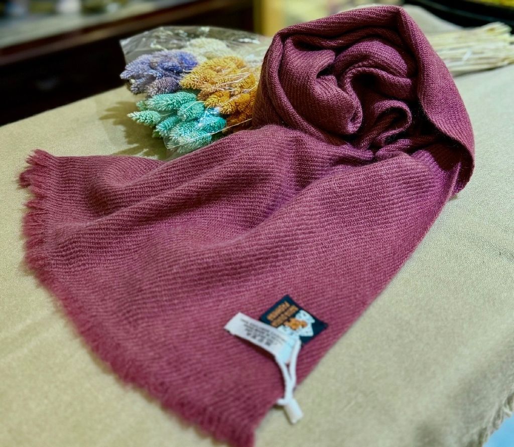 image_D2BD2A9E-BA8E-4EA8-B7ED-9AAE6DF0B67F_1775395990