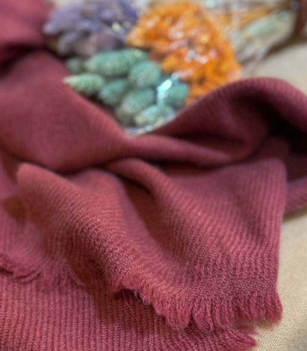 image_C058FF21-46A4-48F7-8C73-9B4CA88ABAF2_1775395990