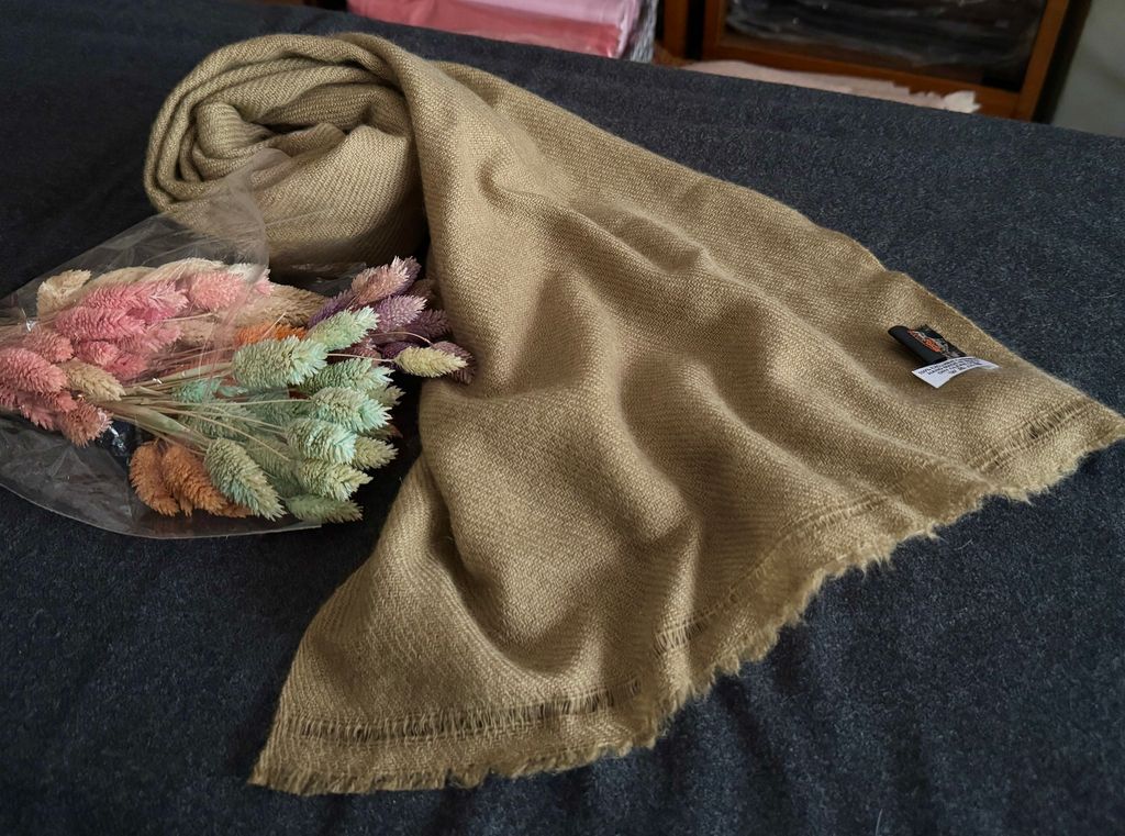 image_7489AC07-5E5D-46F5-A6C9-CFAA4467638F_1775473187