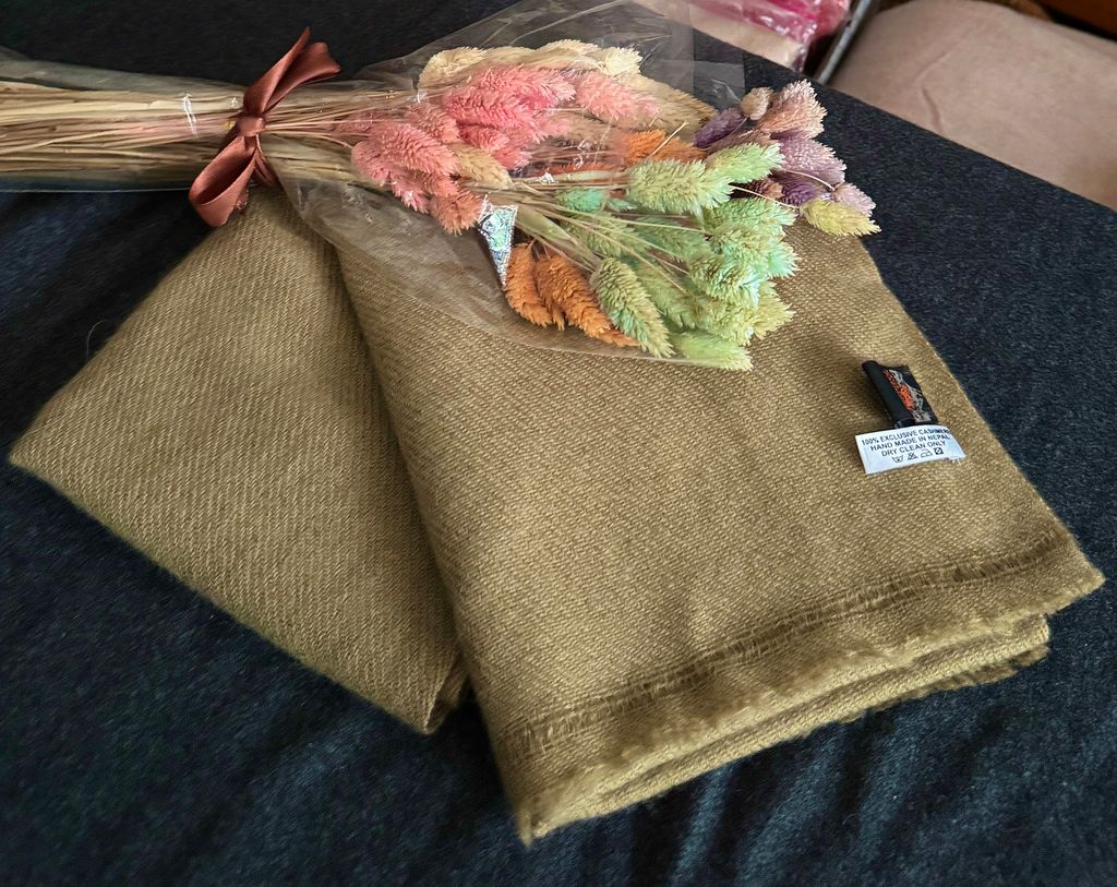 image_8222B364-0DE5-4879-8DA2-2A377A6CC7A0_1775473187