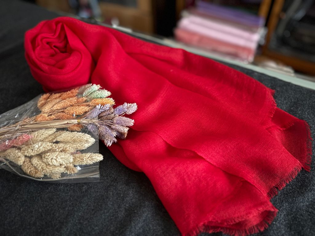 image_219D81A3-6E2F-4360-BCEC-AA2F44CA3671_1775644078