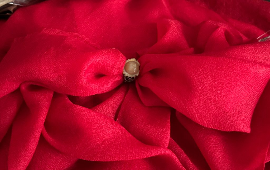 image_E1AC17FE-4223-4285-9625-E0334D3A2714_1775644078