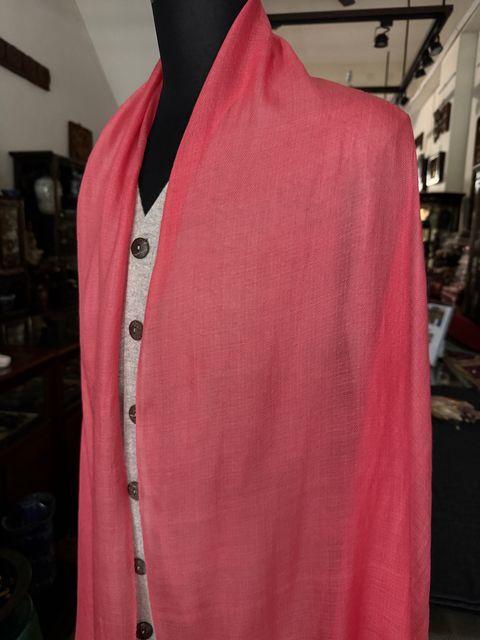 image_D8A6A6E8-9159-4508-85AC-BD0CF158D23F_1775711309