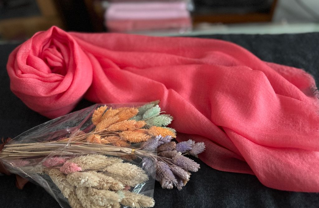 image_931AB524-EB14-4881-8E8A-2FBE5323DE3F_1775711309